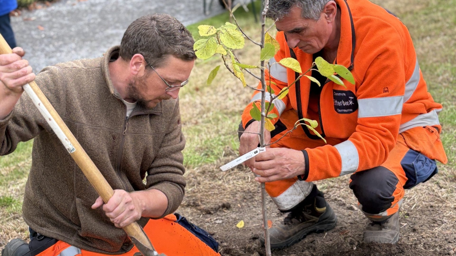 IMG_20251008_215016 (2)