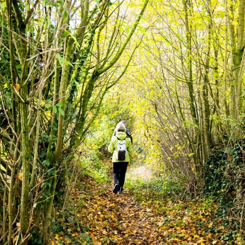 Marche Adeps Heart's Angels