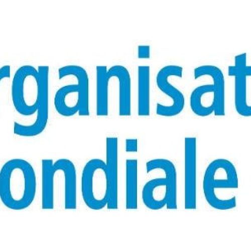 Partenaire de Heart's Angels
