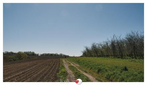 Photos