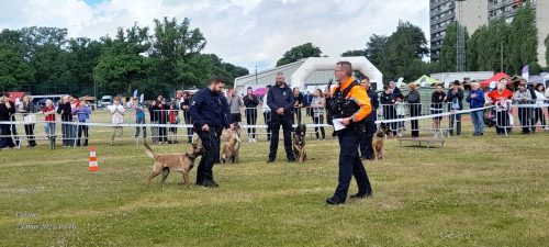 Relais pour la vie 2025